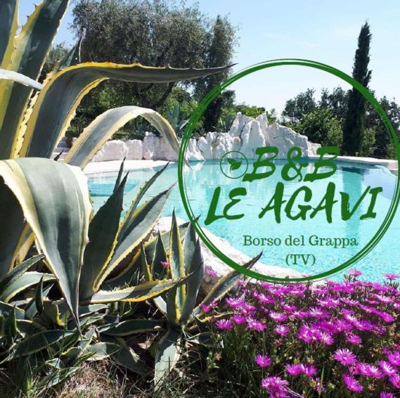 B&B Le Agavi Borso del Grappa Kültér fotó